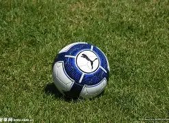 长青传奇,致敬未至的,利物浦深情,征途国际,征途国际平台,征途国际官网,征途国际模拟器在线试玩