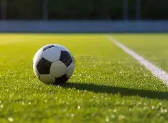 全明星赛事,星光熠熠,球迷狂热追,征途国际,征途国际平台,征途国际官网,征途国际模拟器在线试玩