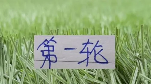 博洛尼亚对拉齐奥：实力相近赛况分析